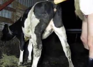 A small young cow got fucked in the doggy style pose